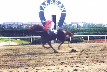 0309高崎競馬騎手招待